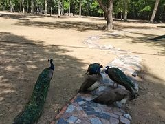 -秦皇岛野生动物园