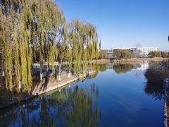 -大兴滨河森林公园