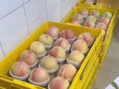 -老袁家蜜桃农场·阳山水蜜桃