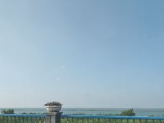 -合肥滨湖国家森林公园