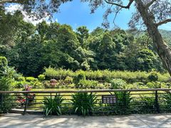 -深圳仙湖植物园