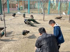 -水上乐园·欢乐世界