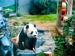 -大连森林动物园