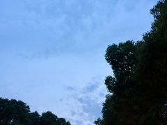 -暨阳湖生态园