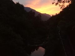 -银瓶嘴森林公园