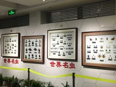 -上海昆虫博物馆