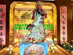 -朱光玉火锅馆(龙阳广场店)