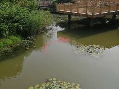 -无锡动物园·太湖欢乐园