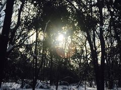 -紫金山天文台