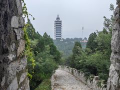 -原山国家森林公园