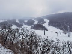-中旅松花湖滑雪场
