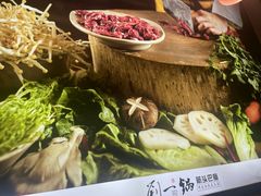 -刘一锅筋头巴脑(千峰路店)