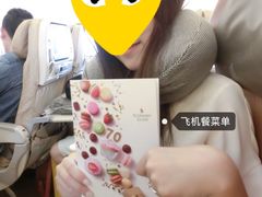 -新加坡航空公司(ION)