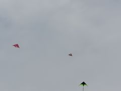 -漕湖湿地公园