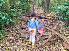 -火炉山森林公园
