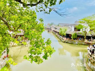 突然很想一人游 就搜了下 找到了枫泾古镇 一来到这