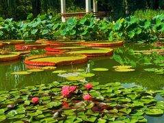 -国家植物园南园