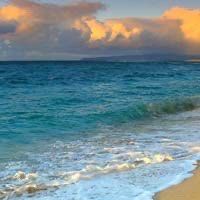 -薇兰专业脱毛连锁机构