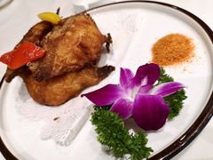-老爷庙风味美食府(魏都大道店)