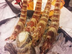 -鲜入围煮花胶鸡海鲜火锅