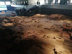 -自贡恐龙博物馆