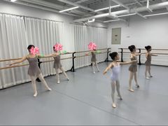 -中央芭蕾舞团·中芭艺蕾(酒仙桥明星校区)