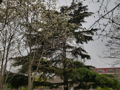 -睦南公园