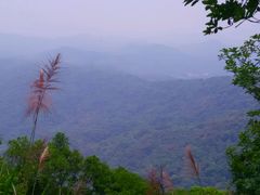 -广州市帽峰山景区