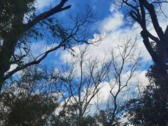 -七彩云南古滇温泉山庄