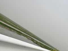 -素满香·食养自助(建邺万达店)