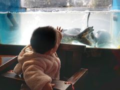 -好灶头妈妈菜·柴火灶台鱼·千岛湖土菜地标美食