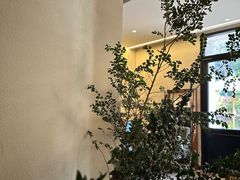 -COTTON CAFE(德信·中外公寓店)