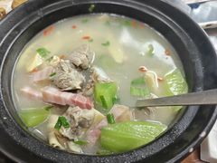 -椿不老