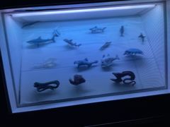-同济大学四平路校区深海探索馆
