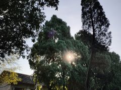 -桂林独秀峰王城景区
