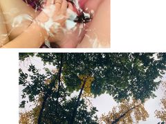 -融汇温泉
