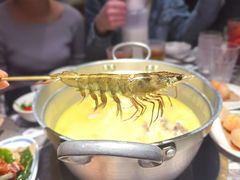 -禄婶鸡煲·打边炉