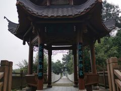 -铁山坪森林公园