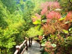 -周口店坡峰岭风景区