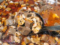 鸭血肥肠-肖家客饸饹面(郑州总店)