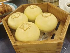 -金龙寨(龙城路店)
