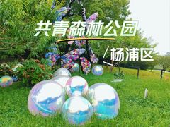 -上海共青森林公园