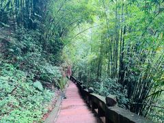 -蜀南竹海景区