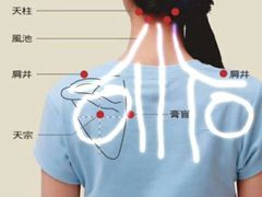 -鑫皇朝酒店(建设一路店)