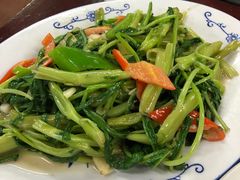 -得心斋(文华北路店)