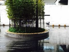 璞丽酒店-上海璞麗酒店