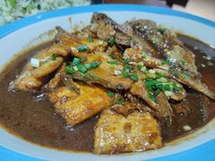 红烧海朋友鱼-海宁煲农家菜(惠南镇店)