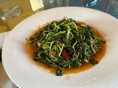 -孔雀湖生态旅游区