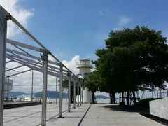 -宝安西湾红树林湿地公园