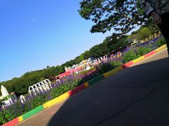 -松山湖梦幻百花洲